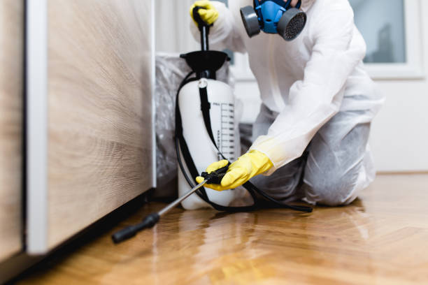 Best Bed Bug Extermination  in Round Lake Beach, IL
