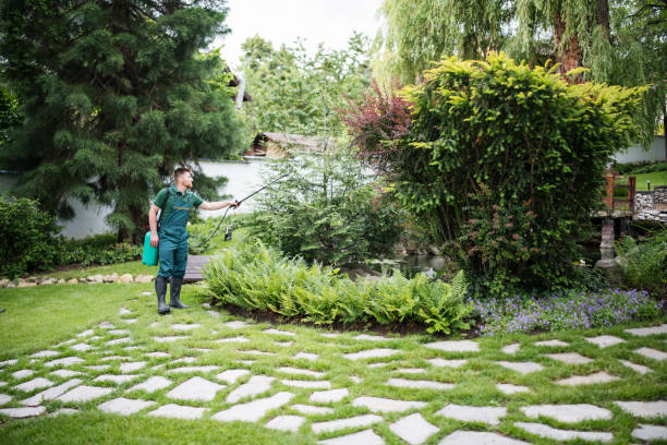 Pest Prevention Services in Round Lake Beach, IL
